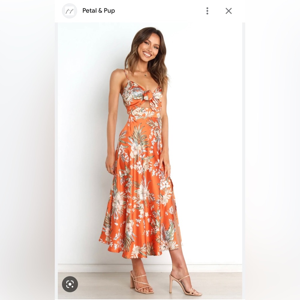 Petal and Pup-Whitmore Dress-Rust